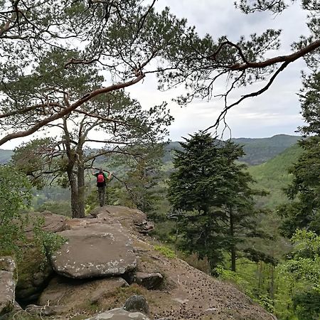 L'Ours Vert Baerenthal Luaran gambar